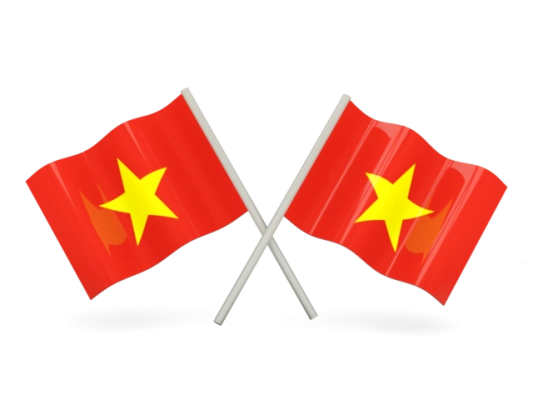 Vietnam Flag